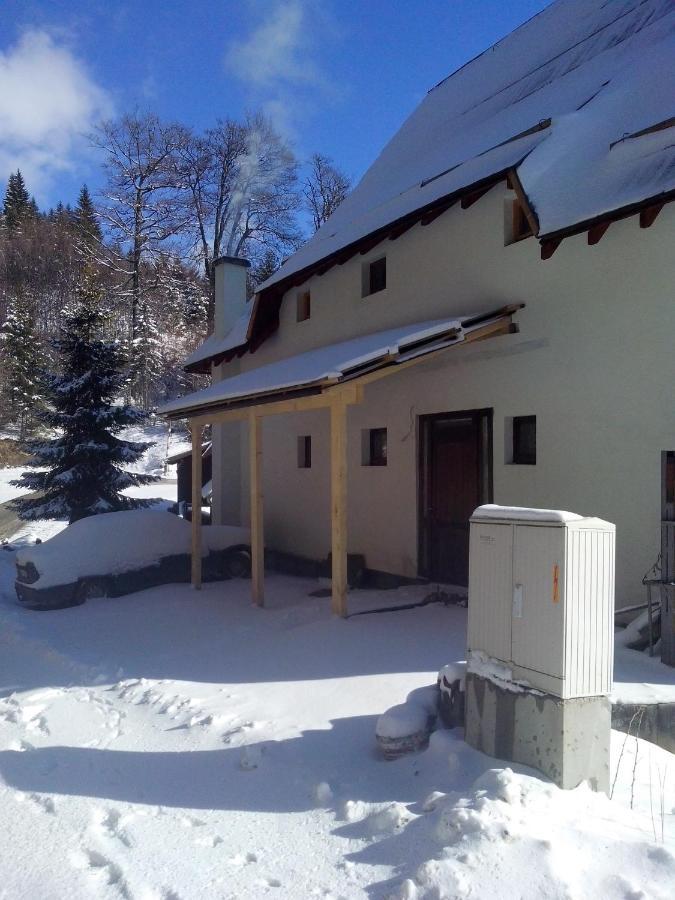Apartments Dviletov Kutak Kopaonik Extérieur photo