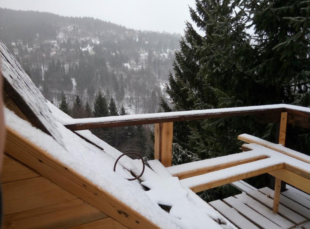 Apartments Dviletov Kutak Kopaonik Extérieur photo