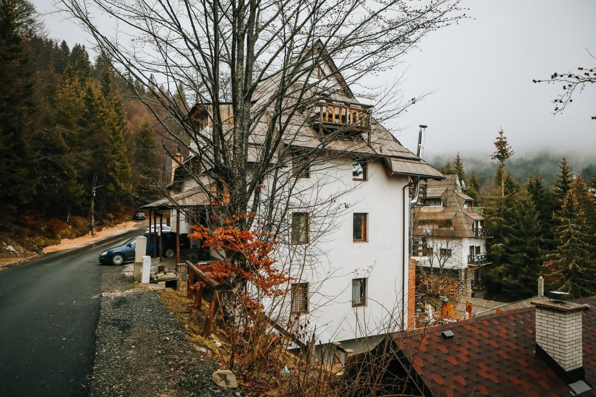 Apartments Dviletov Kutak Kopaonik Extérieur photo